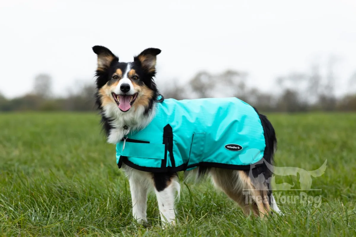 All Seasons Waterproof Dog Coat in Turquoise Blue