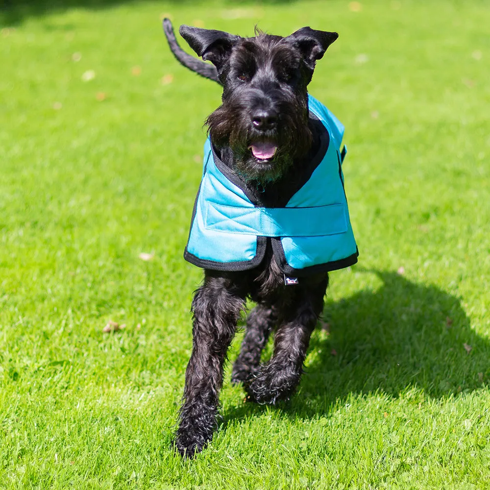 All Seasons Waterproof Dog Coat in Turquoise Blue