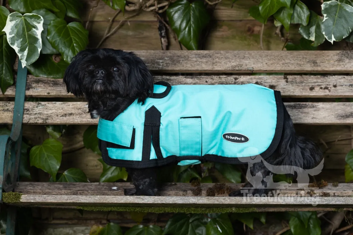 All Seasons Waterproof Dog Coat in Turquoise Blue