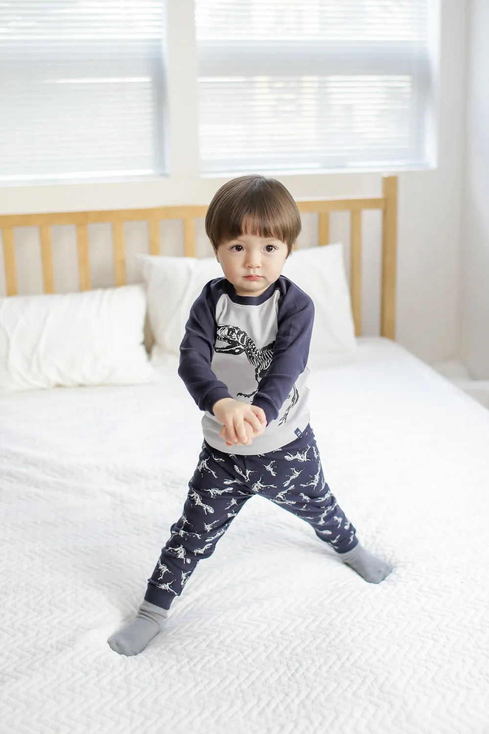 Dinosaur Navy Long Sleeve Pajamas