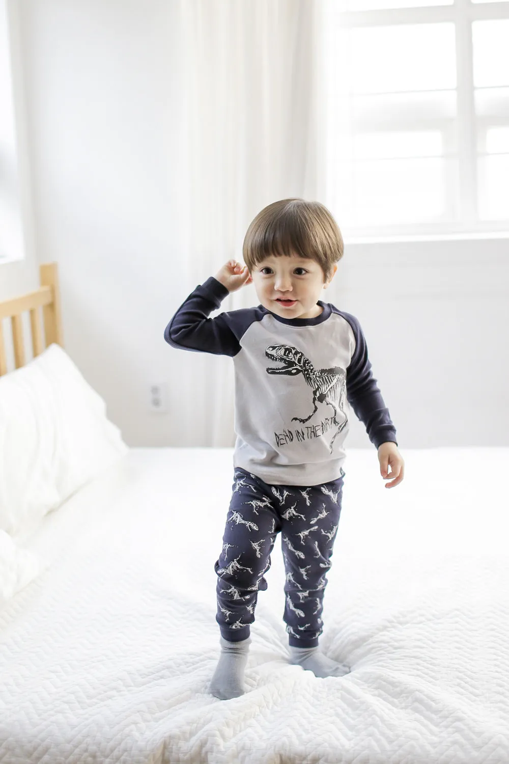 Dinosaur Navy Long Sleeve Pajamas