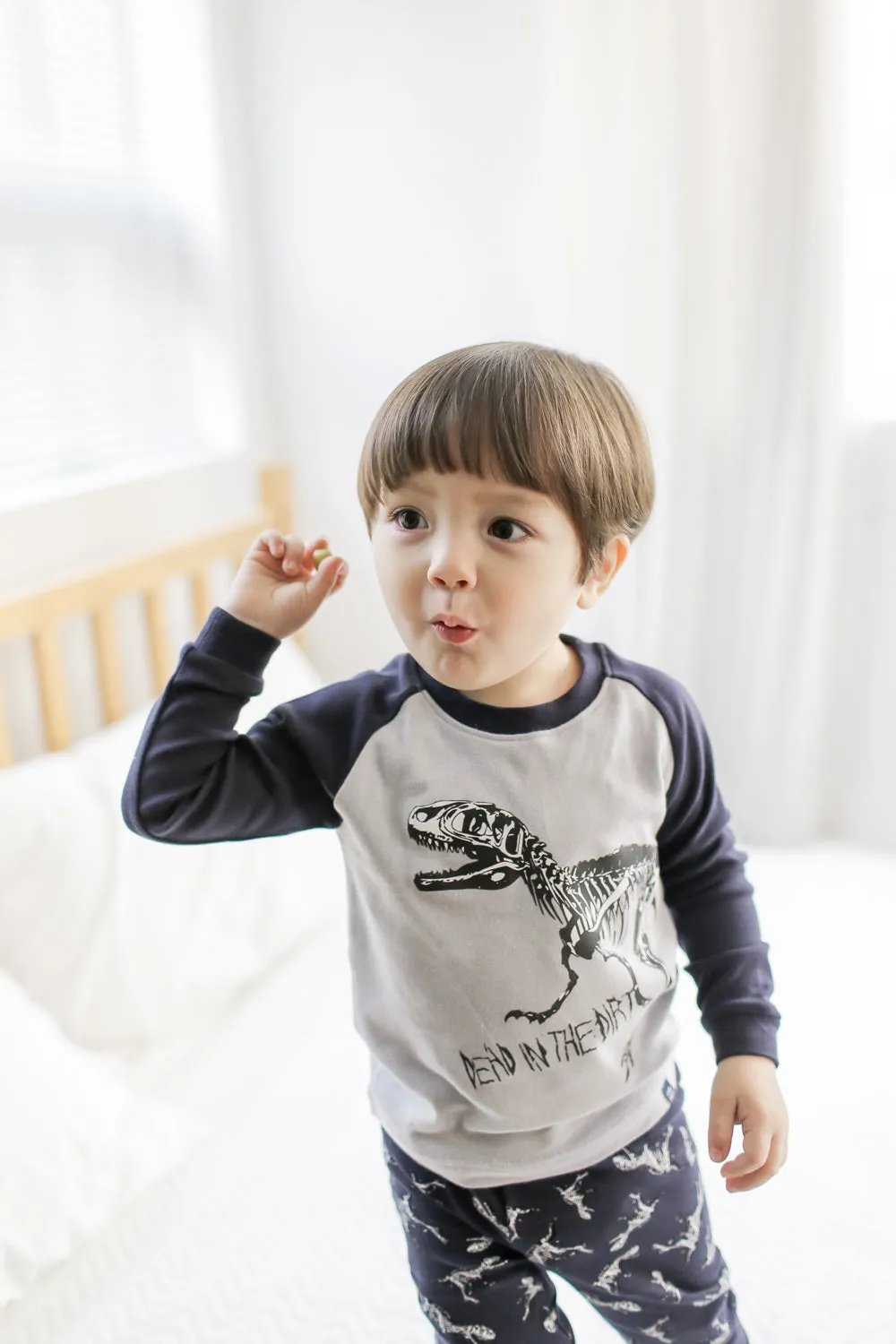 Dinosaur Navy Long Sleeve Pajamas