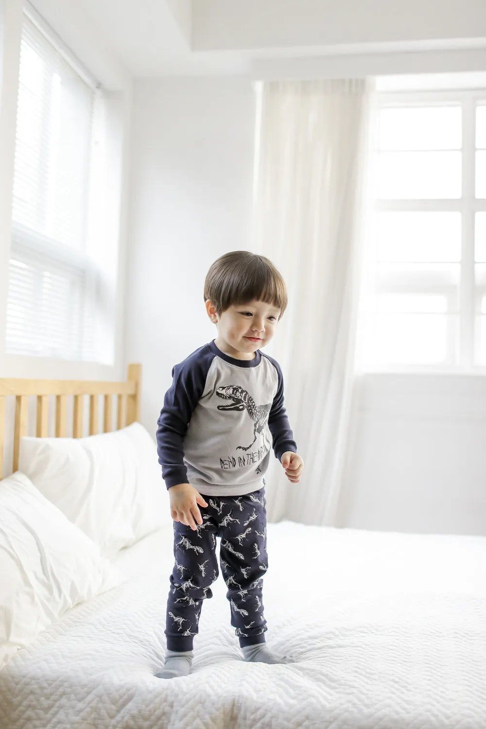 Dinosaur Navy Long Sleeve Pajamas