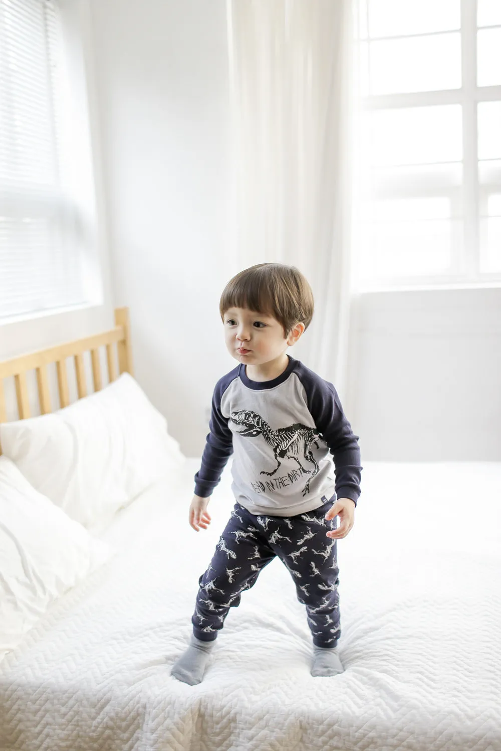 Dinosaur Navy Long Sleeve Pajamas