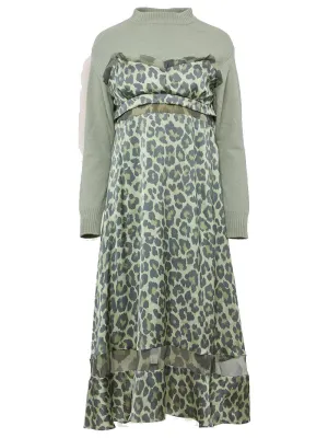 Leopard Print Long Sleeve Dress