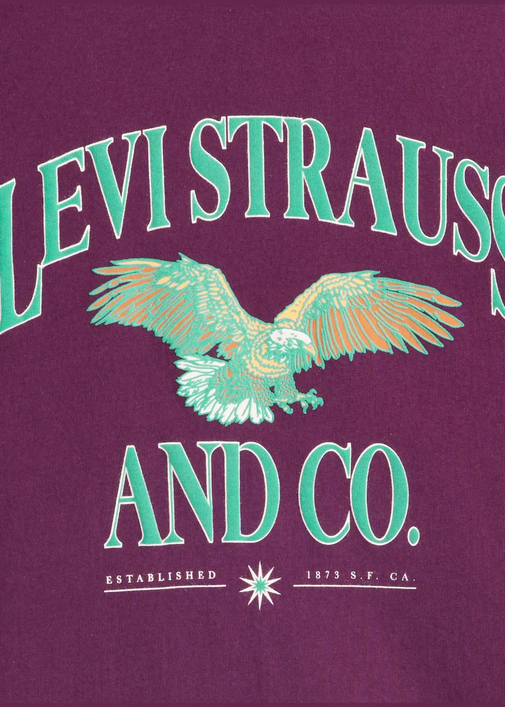 Levi's - LS Graphic Authentic Tee - LS&CO Eagle Potent Purple